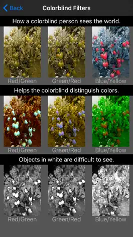 Game screenshot ColorDeBlind - how color blind people see the world. hack