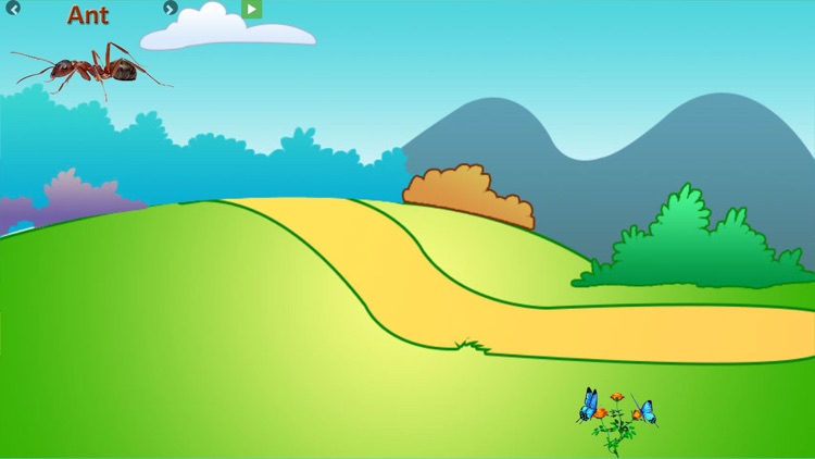 Kids Preschool All-In-One