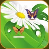 Beautiful Butterflies Game