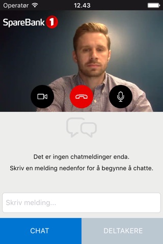 Nettmøte screenshot 3