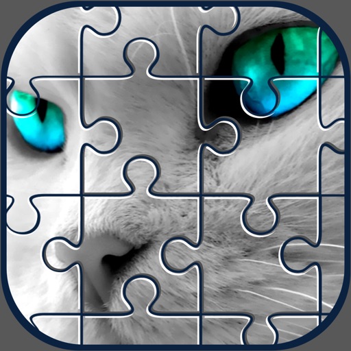 Cat Puzzle Pic Game – Cute Kitten Jigsaw With Real Pet Photo For Kid.s iOS App