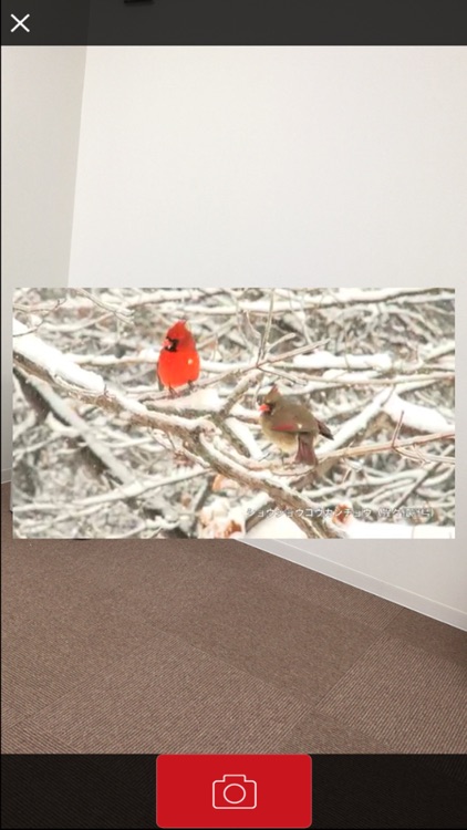 tARget-ARプロモーション screenshot-4