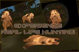 Game screenshot Wild Bear Hunter 2016 : Jungle Beast Hunting Simulation 3d : full fun free game apk