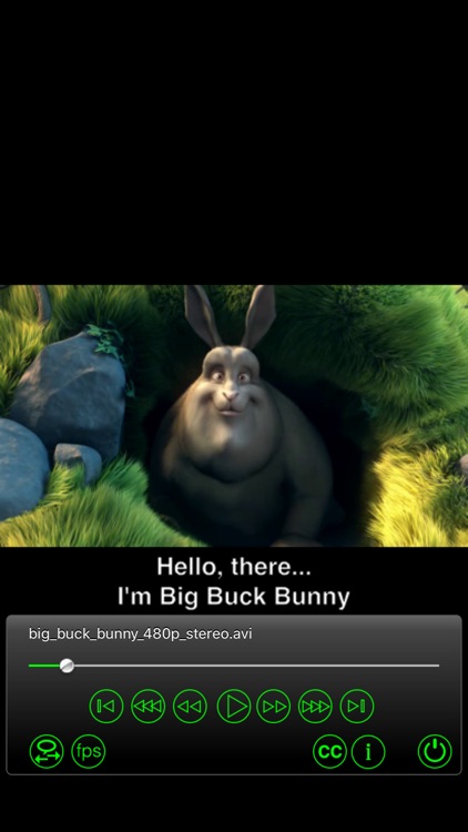 Subtitles Player