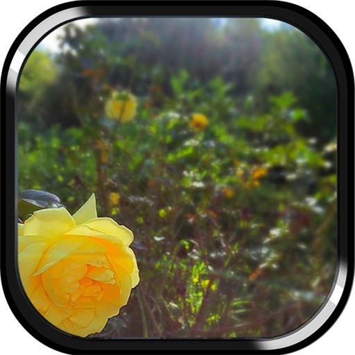 Get In The Sun - APPUM ® for iOS, iPhone, iPad Aso Report