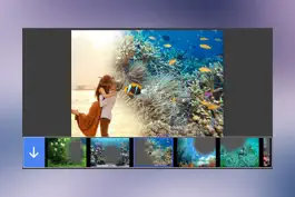 Game screenshot Ocean Photo Frame - Art Photography & mega Frames mod apk