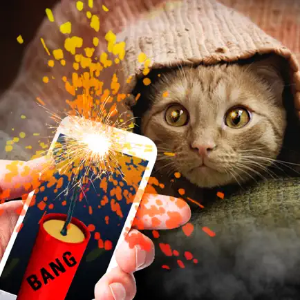 Bang Deafened Cat Prank Cheats