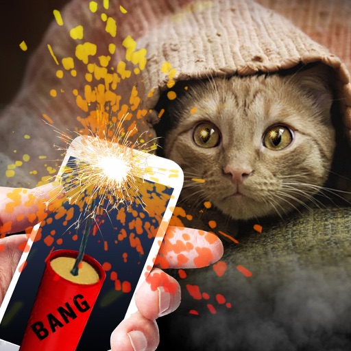 Bang Deafened Cat Prank icon