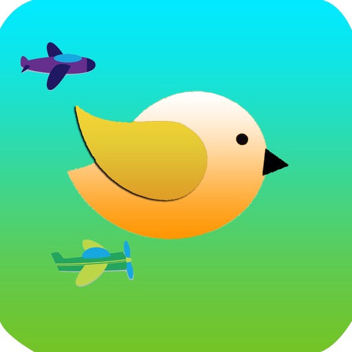 Dodge Plane 2d iOS App