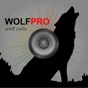 REAL Wolf Calls and Wolf Sounds for Wolf Hunting - BLUETOOTH COMPATIBLEi app download