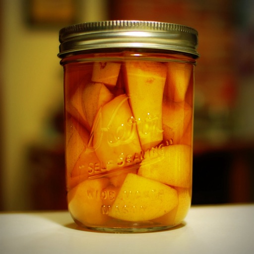 Canning 101:Food Preserving Tips and Tutorial icon