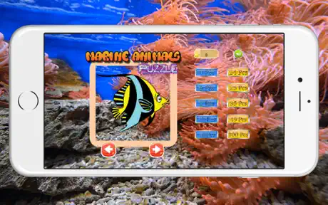 Marine Math Games Jigsaw Puzzles : Fish for Kids