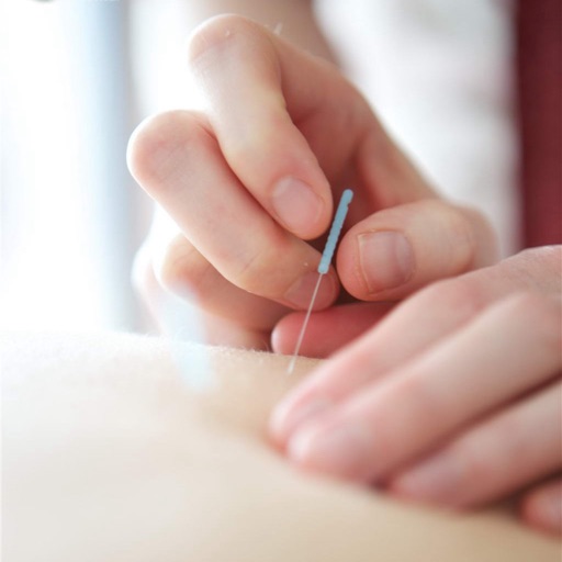 Acupuncture for Beginners: Tips and Tutorials icon