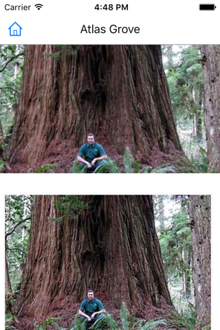 CHI Encyclopedia of Famous Trees screenshot 3