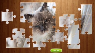 Cat Jigsaw Puzzle - Animalのおすすめ画像2