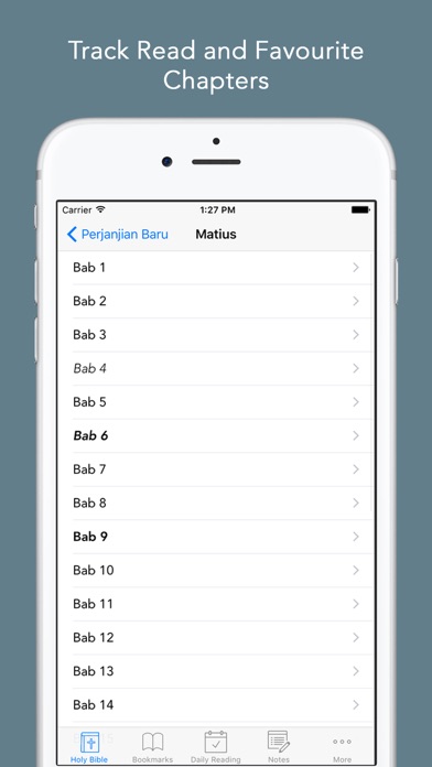 Alkitab: Easy to use Indonesian Bahasa Holy Bible App for daily offline Bible book reading Screenshot
