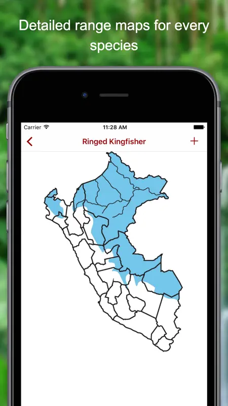 Birds of Peru screenshot 4 of 5