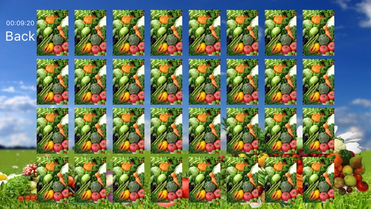Vegetable World Free screenshot-3