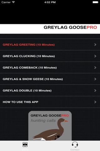 REAL Greylag Goose Hunting Calls + Greylag Goose CALLS & Greylag Goose Sounds! screenshot 3