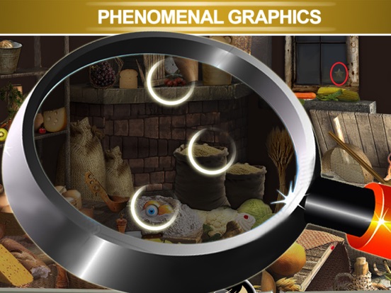 Hidden Objects Puzzles HD iPad screenshot