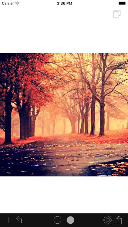 Photo Painter Plus screenshot-3