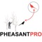 Are you a pheasant hunter who loves to hunt for pheasants