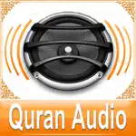 Quran Audio - Sheikh Minshawi App Cancel