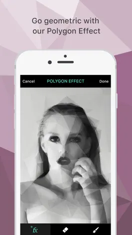 Game screenshot Polygon Effect - Create Low Poly Portraits and Geometric Art mod apk