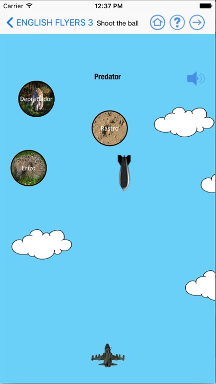 English Quinto Primaria Trim 3 Flyers 3 for iPhone screenshot-3