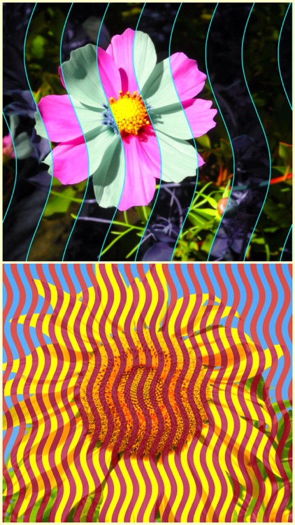 StripeImager - Stripe,Check,Zebra Pattern Art Generator