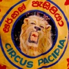 Circus Monsoon
