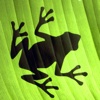 青蛙跳星球-控制好青蛙,越调越高,沙和尚出品