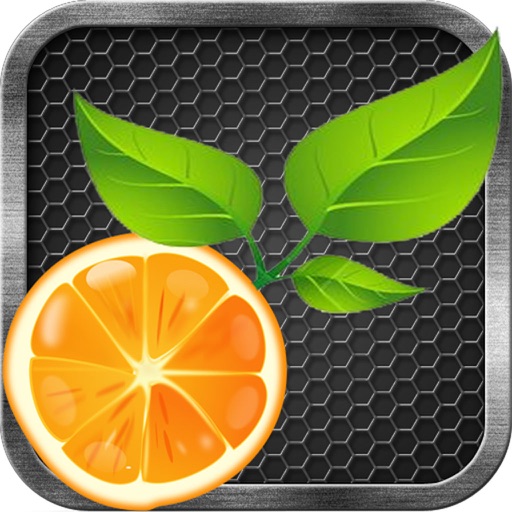 Citrus Bouncer Icon