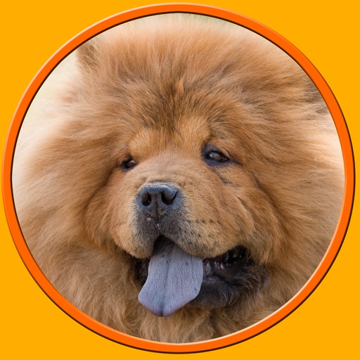 amazing dogs for kids - no ads iOS App