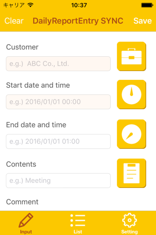 Daily Report Entry SYNC - náhled