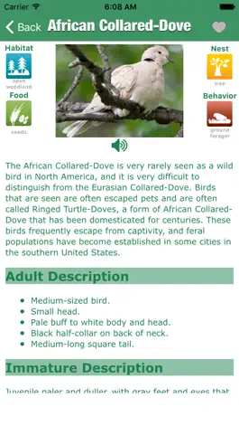 Game screenshot Bird Guide - Offline bird identification app hack