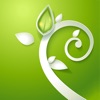 SPA Music for Relaxation and Massage Therapy icon