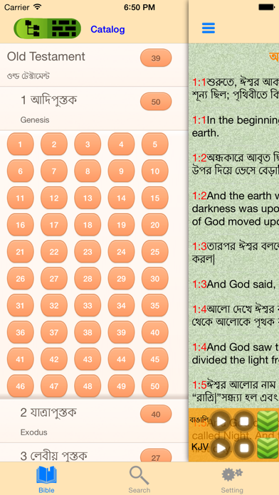 How to cancel & delete Bengali-English Bilingual Audio Holy Bible Offline from iphone & ipad 2