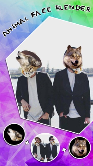 Animal Face Booth - Photo Sticker Blend.er to Morph and Chan(圖3)-速報App