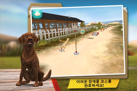 Dog Hotel Premium screenshot 3
