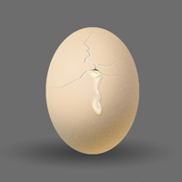 TAMAGO - Pocket Virtual Egg Pet