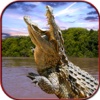 Crocodile Attack Simulator