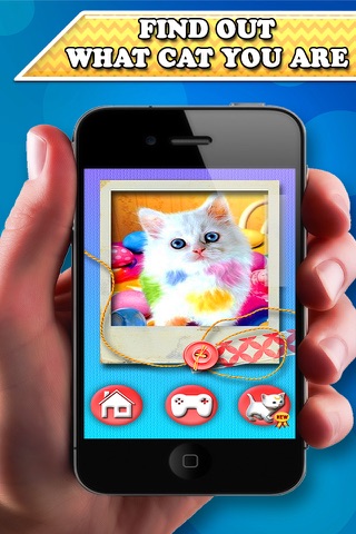 Kitty Face: Face scanner simulator. What cat you are? screenshot 3