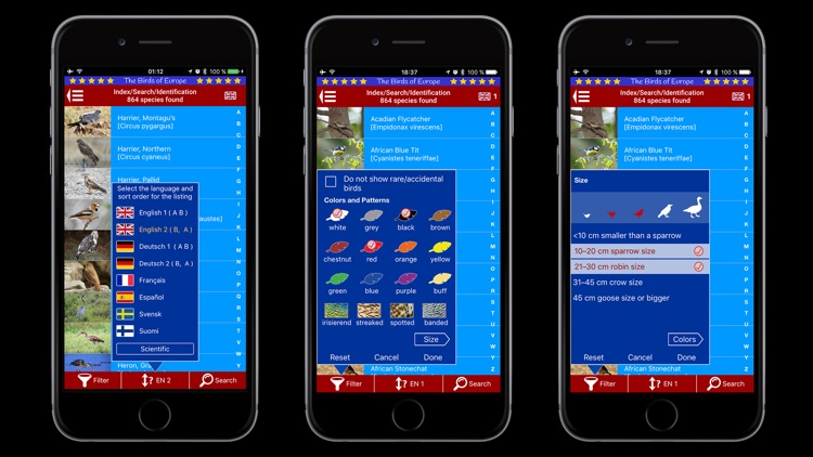 Birds of Europe screenshot-4