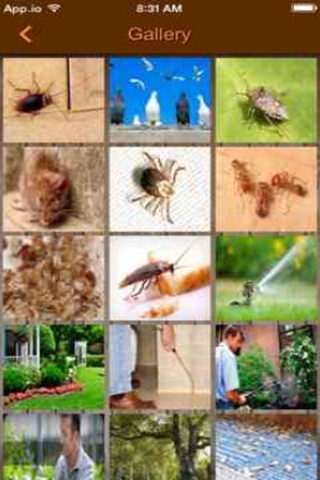 Termite Lawn & Pest Inc. screenshot 4