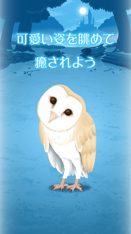 #3. Owl Simulation Game (iOS) 由: tack