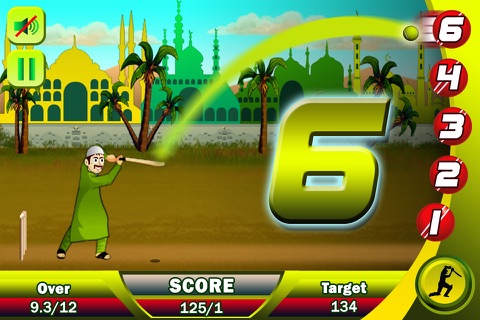 Ramzan Cricket Pro screenshot 4