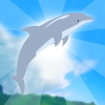 Download Dolphin Up app