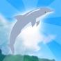 Dolphin Up app download
