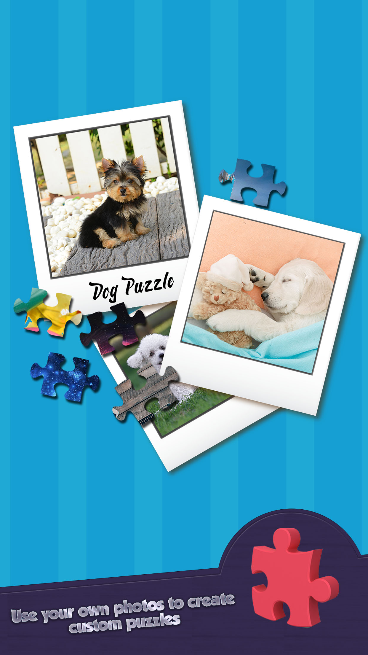 Very Cute Puppies To Pet - Free